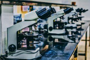Microscopes lined up on a table in a laboratory.